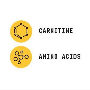 BEYOND RAW Chemistry L-Carnitine powder pre-workout mix for energy support.