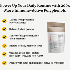 BIG BOLD HEALTH sprout powder scoop ready to blend into smoothies for gut-friendly fiber.