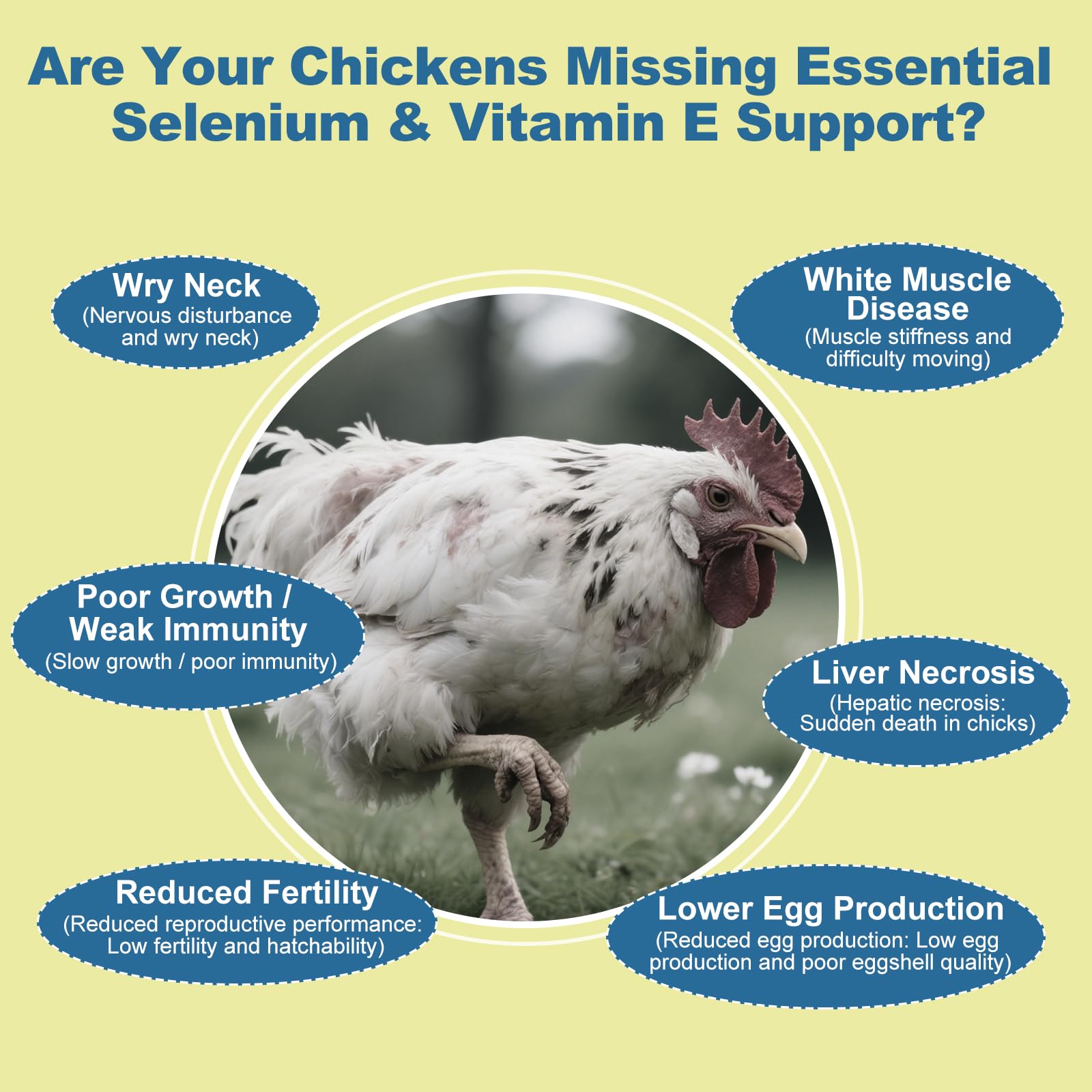 BiKontrun selenium vitamin e for chickens feeding mix eases supplementing in feed.