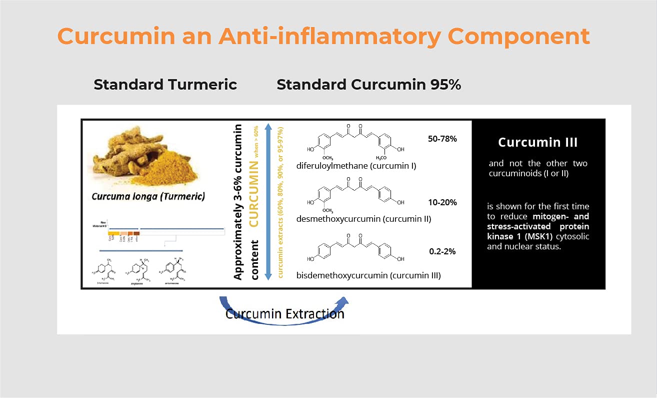 BIOBDMC Pro NovoCurcumin label closeup communicates 50% curcuminoids