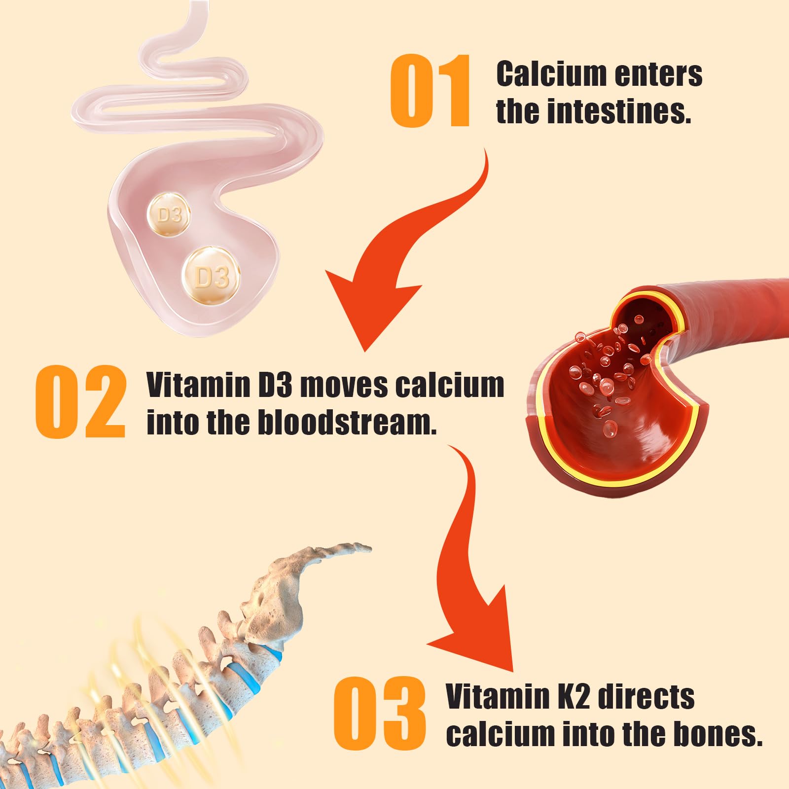 Biobor gummies pouring into bowl illustrates easy daily supplementation.