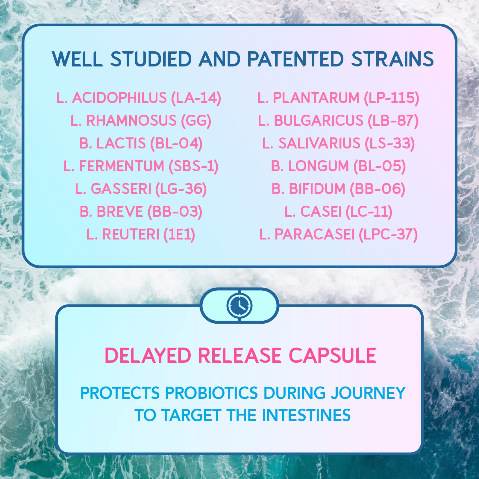 BioEmblem Delayed-release capsules preserve probiotic potency through stomach acid