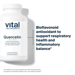 Bioflavonoids illustration highlighting natural antioxidant support