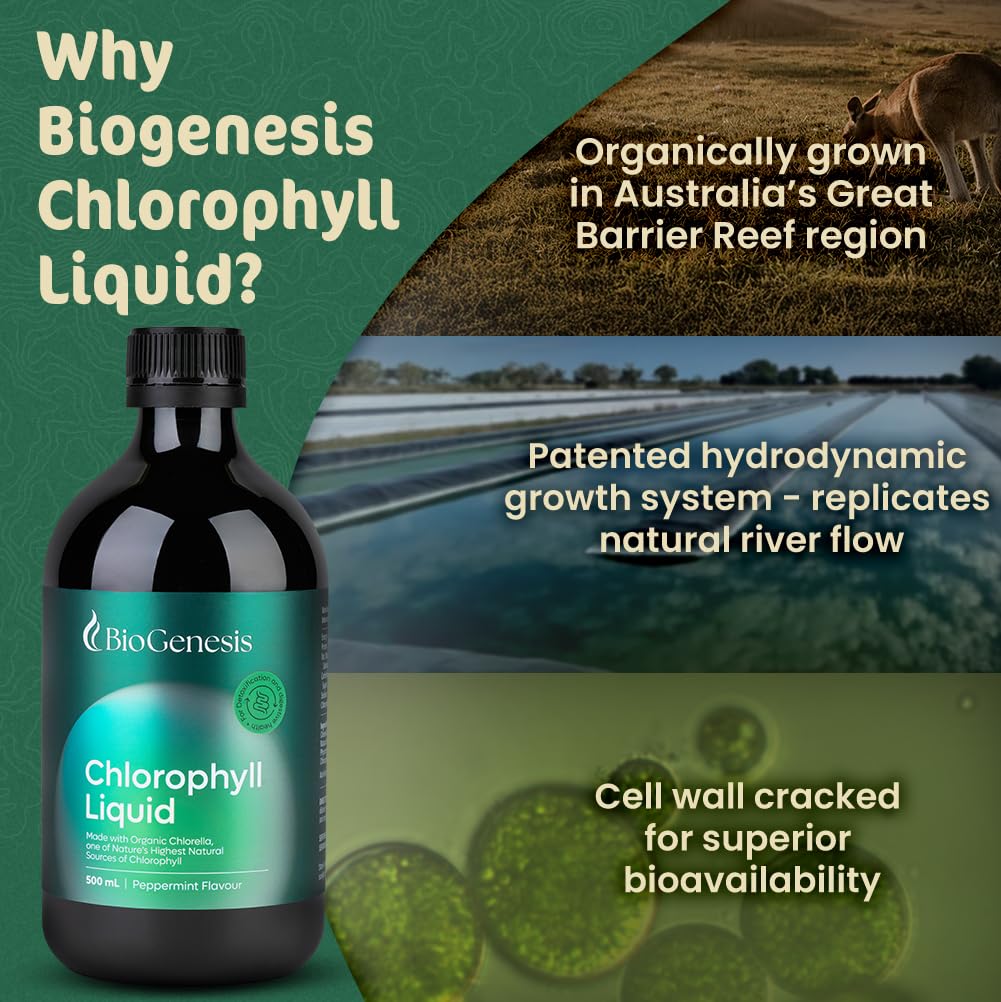 Biogenesis Chlorophyll Liquid features organic chlorella and spirulina in a smoothie