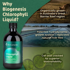 Biogenesis Chlorophyll Liquid features organic chlorella and spirulina in a smoothie