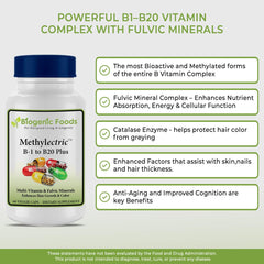 Biogenic Foods Methylectric B-50 with fulvic minerals close-up showing mineral glow.