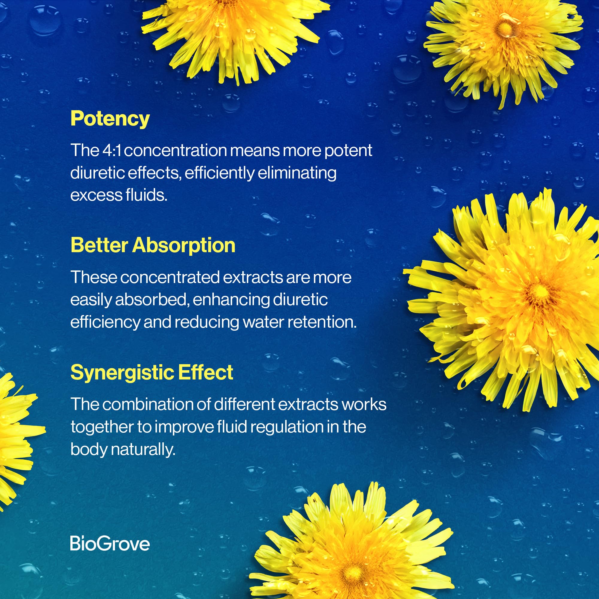 BioGrove Diulite ingredients close up including dandelion parsley juniper