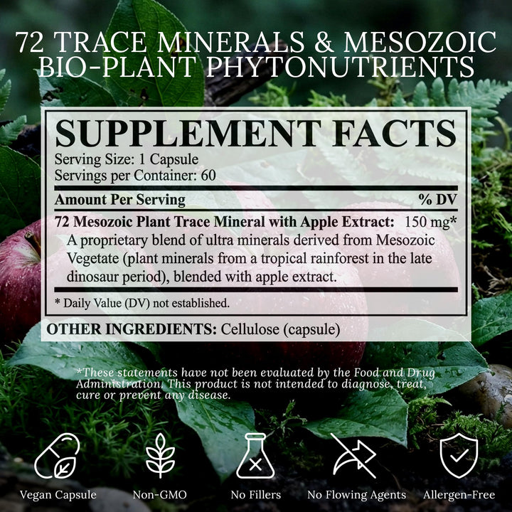 BioImmersion Energía: cápsulas para balance metabólico diario.