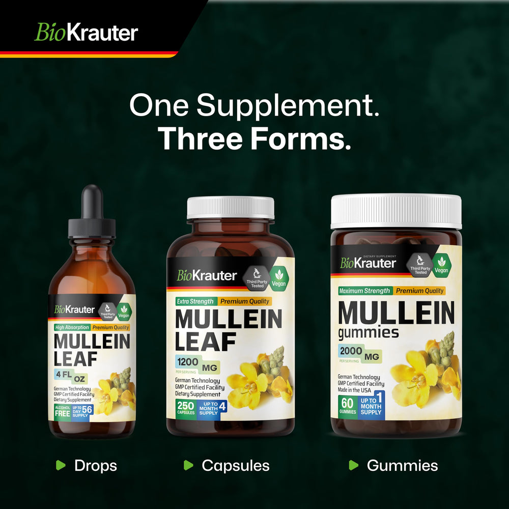 Carton highlighting 28 days supply for BIO KRAUTER Mullein Drops.
