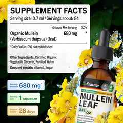 Ingredients panel of BIO KRAUTER Mullein Drops showing water, glycerin, mullein leaf.