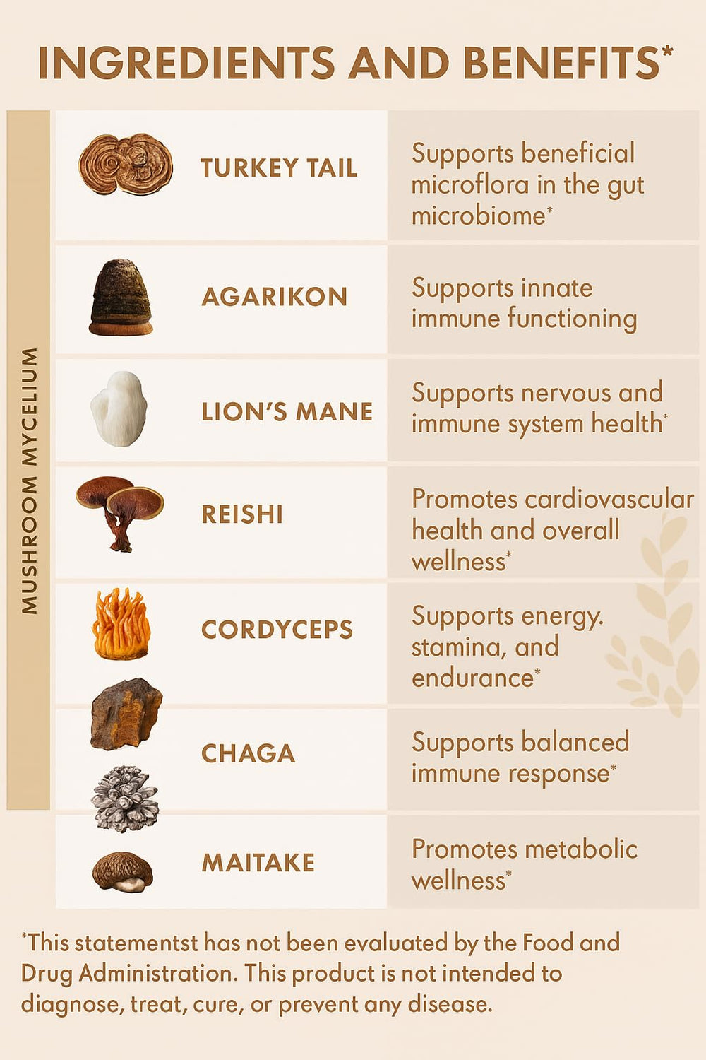 Biolen Labs Elevated Wellness Mushroom Complex label close-up highlighting the blend for immune support