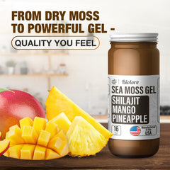 Biolore sea moss gel texture on spoon emphasizes easy daily serving.