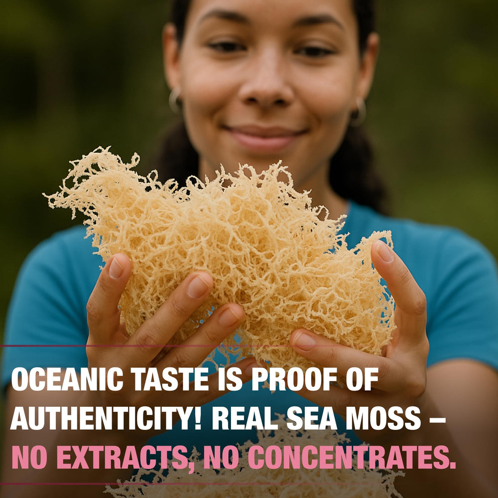Biolore Elderberry Sea Moss Gel jar close-up label