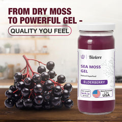 Biolore Sea Moss Gel Elderberry spoon ready to serve