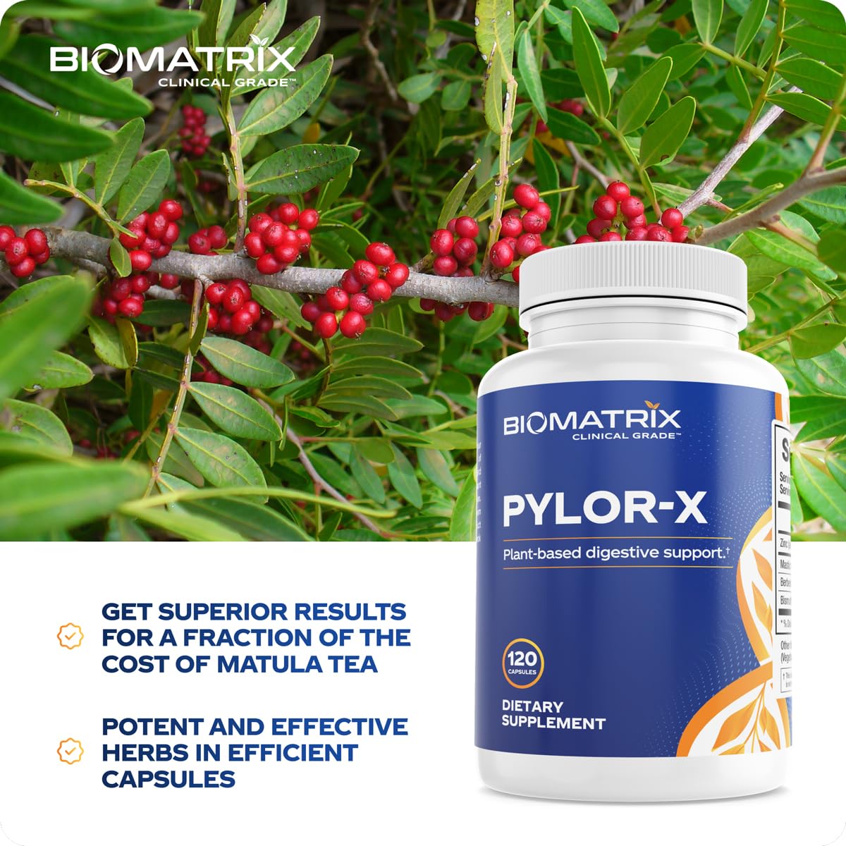 BioMatrix Pylor-X bismuth salts visualization suggests calm, comfortable digestion.