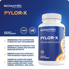 BioMatrix Pylor-X capsules closeup shows smooth texture for reliable daily support.