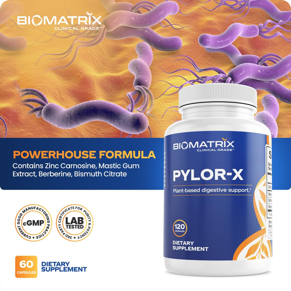 BioMatrix Pylor-X zinc carnosine focus image illustrates stomach lining protection benefits.