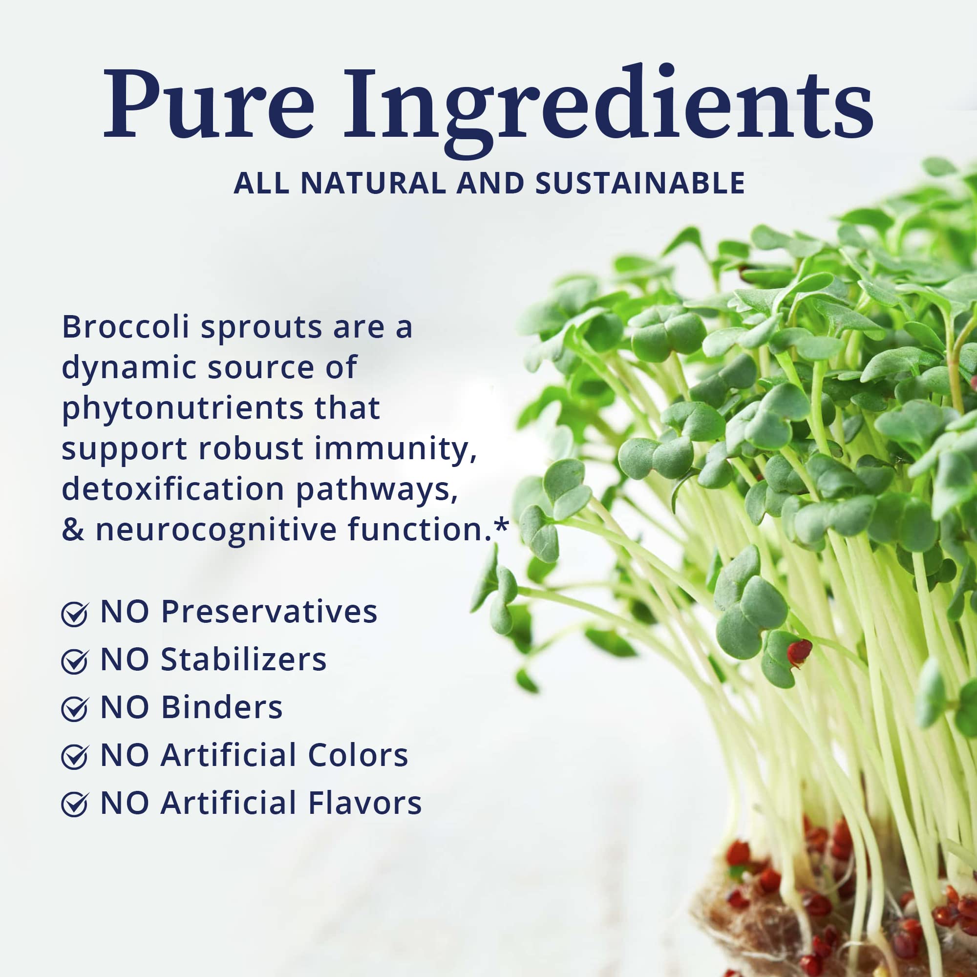 BioPure broccoli sprout seeds highlighting non-GMO source used in the product.