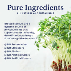 BioPure broccoli sprout seeds highlighting non-GMO source used in the product.