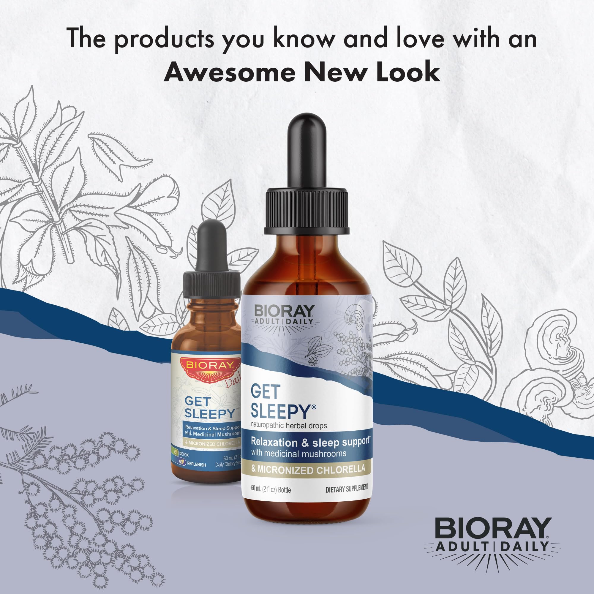 BIORAY Daily Get Sleepy ingredients like medicinal mushrooms and chlorella for natural calm before bed