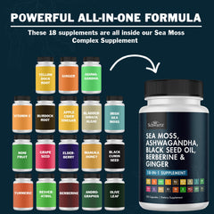 BioSchwartz Ashwagandha Ginger Turmeric blend container for holistic balance.