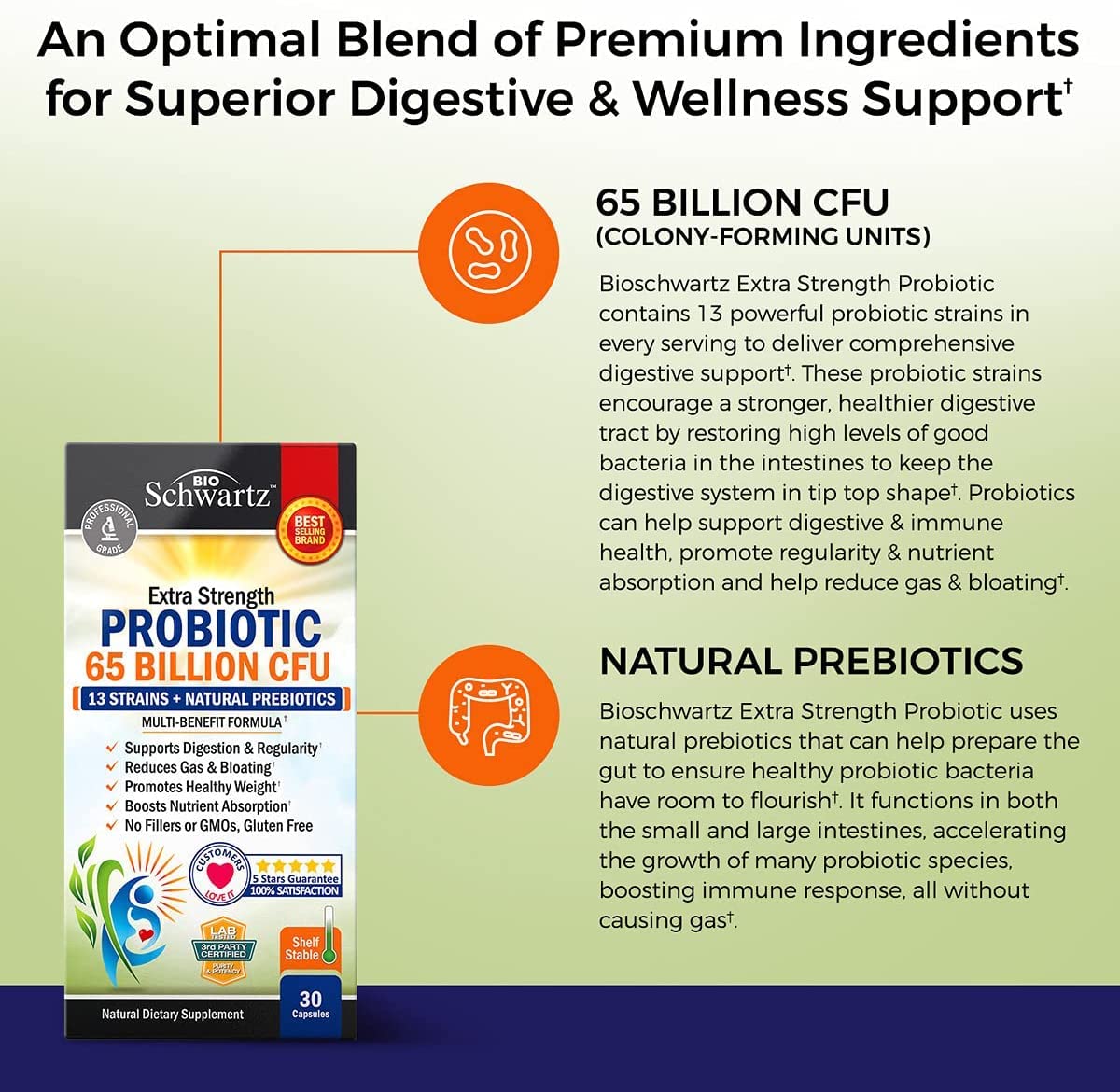 BioSchwartz non-GMO dairy-free probiotic blend on label.
