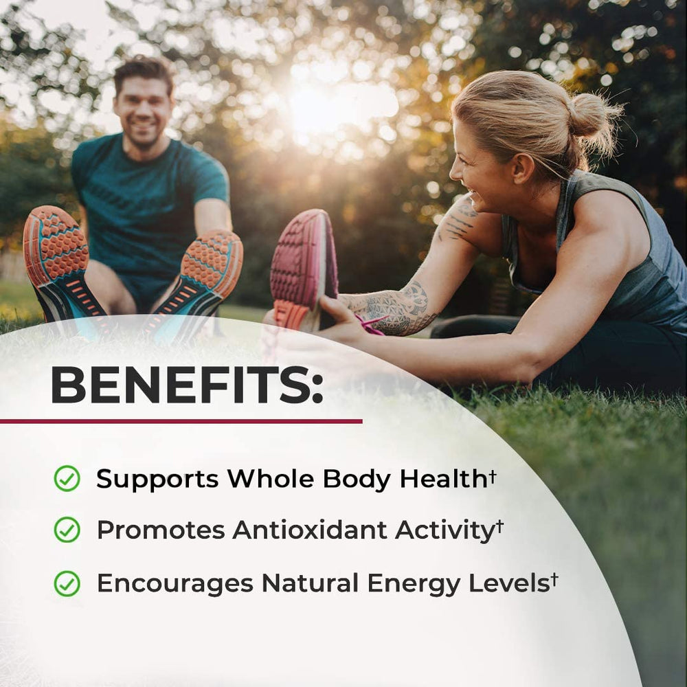 BioSchwartz Sugar Free Beet Root Gummies label-back explains coconut oil for better absorption