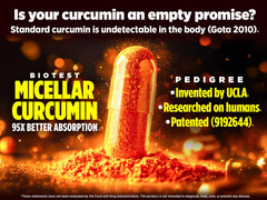 Biotest Micellar Curcumin capsules arranged for daily use