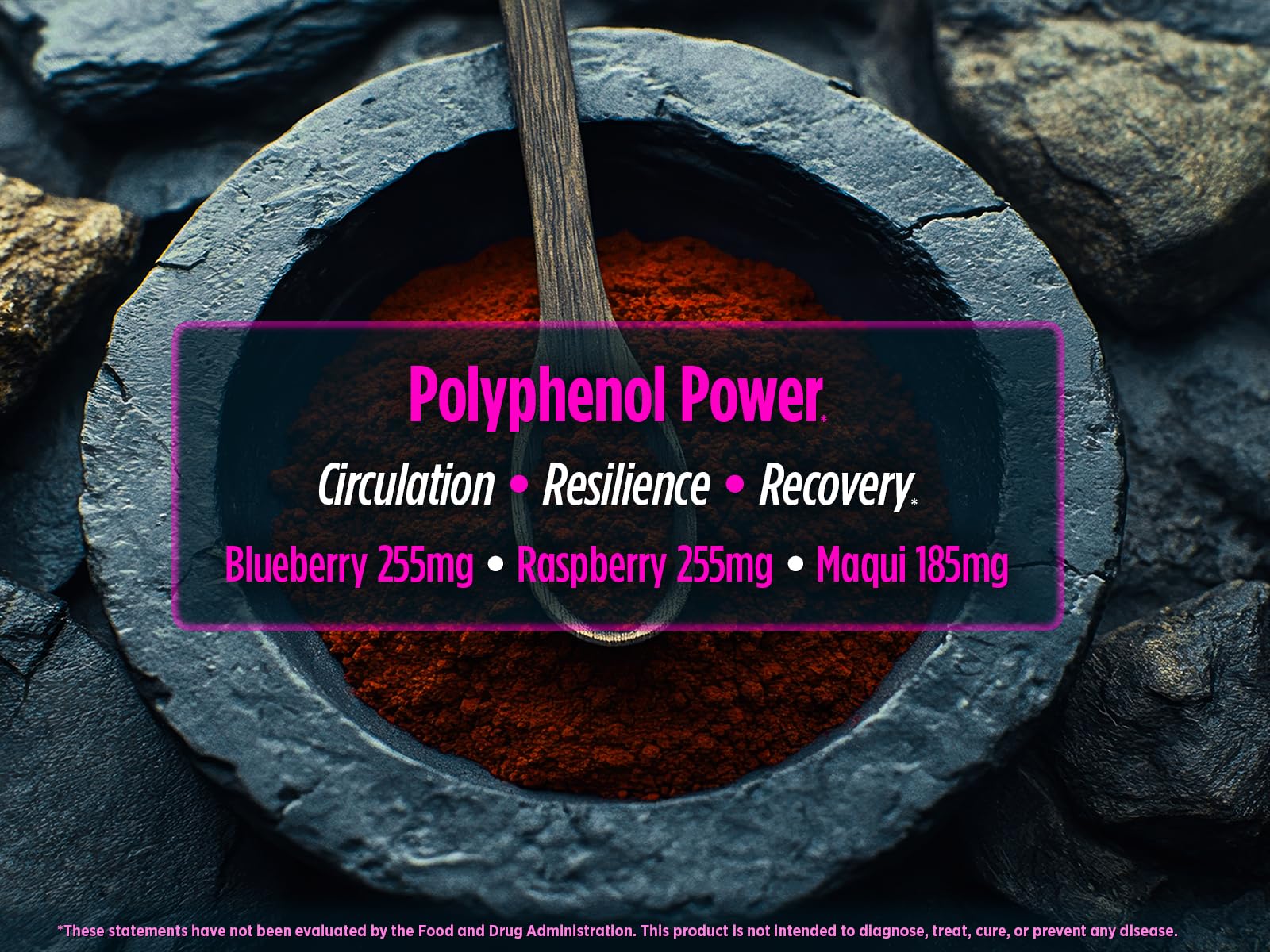 Biotest Berry-Dense Polyphenols powder shown for easy mixing into drinks.