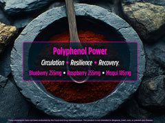 Biotest Berry-Dense Polyphenols powder shown for easy mixing into drinks.
