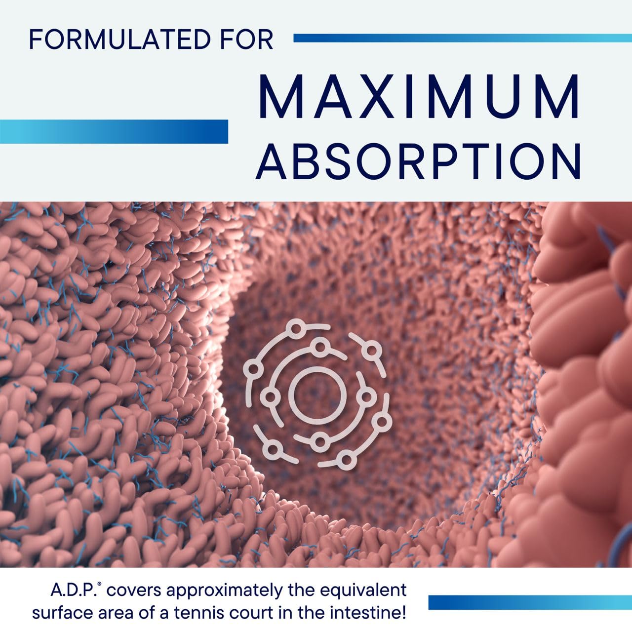 Biotics Research ADP oregano tablet image highlighting carvacrol content