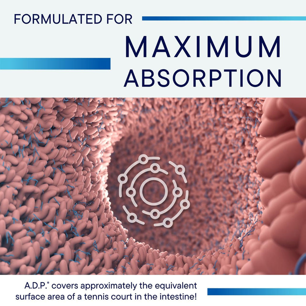 Biotics Research ADP oregano tablet image highlighting carvacrol content