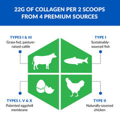 BioTrust Ageless Multi Collagen dissolves easily in coffee or smoothies.