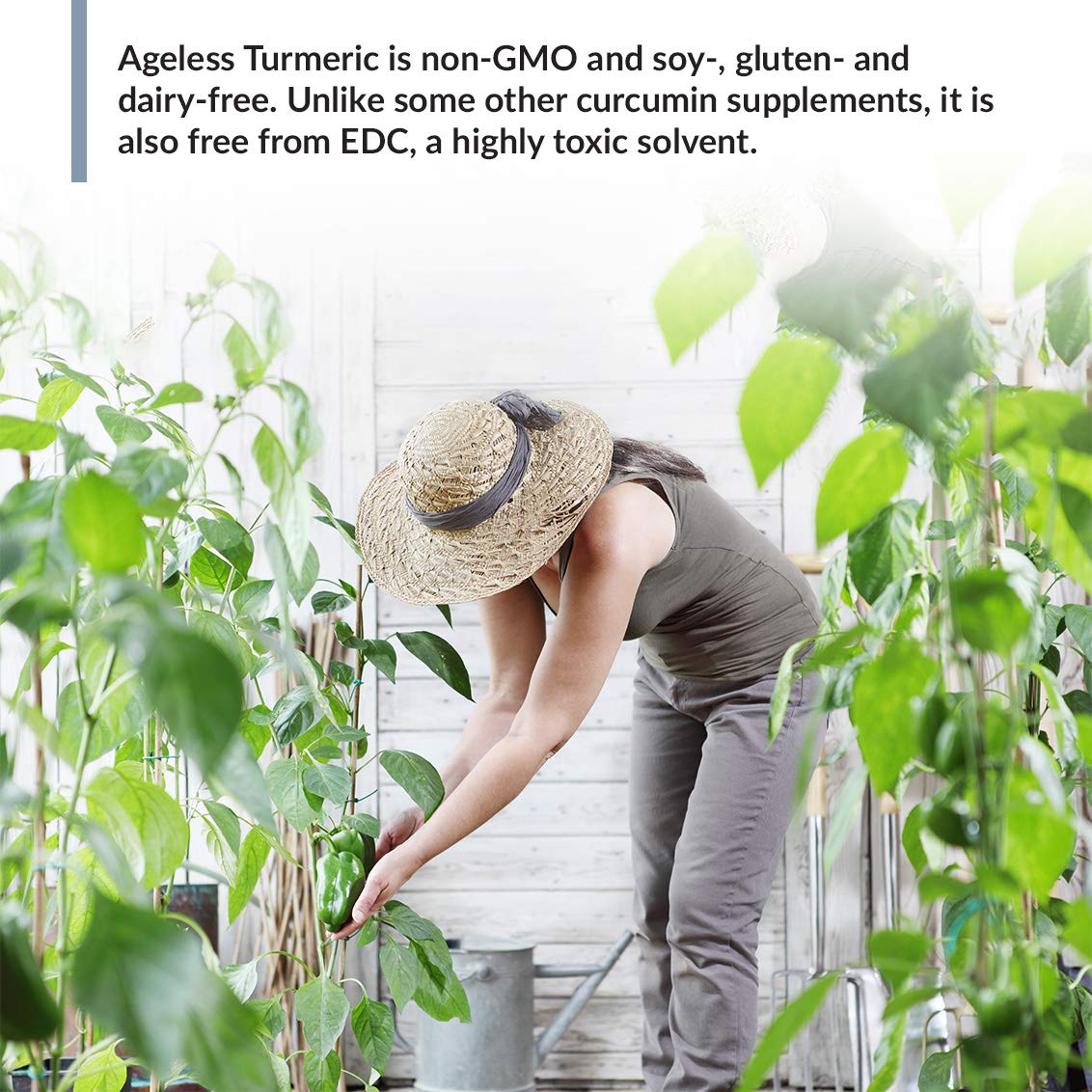 GMP certification icon for BioTrust Ageless Turmeric quality control
