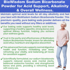 BioWisdom Sodium Bicarbonate Powder aluminum-free clean-label option for pure baking.