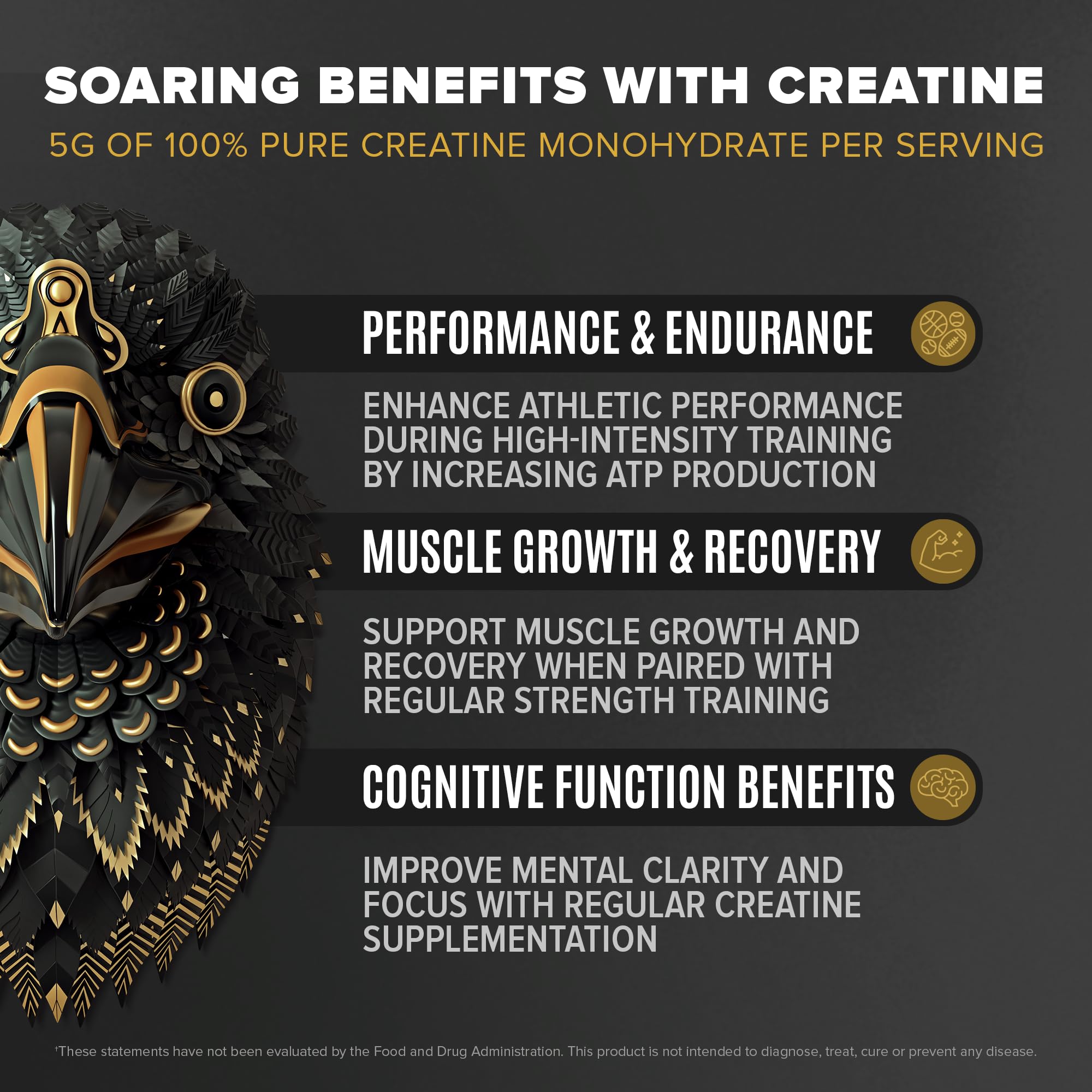 Birdman Falcon BCAAs and electrolytes support hydration during training.