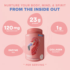 Birdman Fitmingo blueberry powder closeup captures vibrant flavor and smooth texture