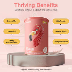 Birdman Fitmingo vanilla protein powder being measured for a serving.