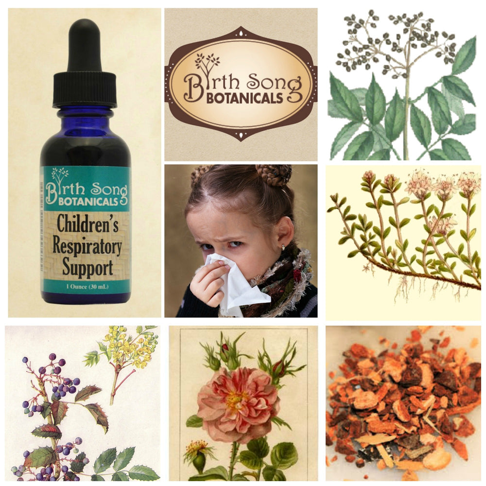 Birth Song Botanicals drops bottle with measuring cap enables precise dosage