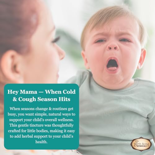 Birth Song Botanicals elderberry immune support dropper promotes easy dosing for family immunity