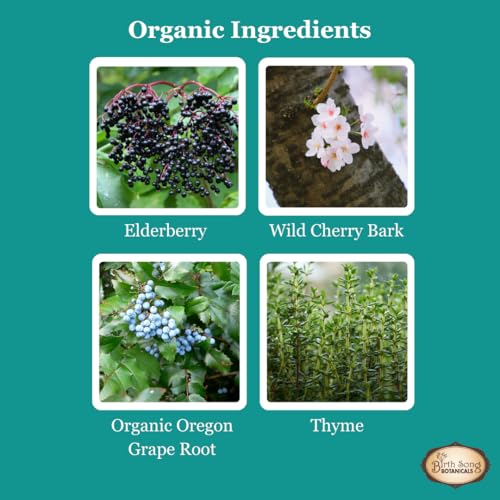 Birth Song Botanicals family-friendly label on amber bottle signals gentle, versatile herbal support