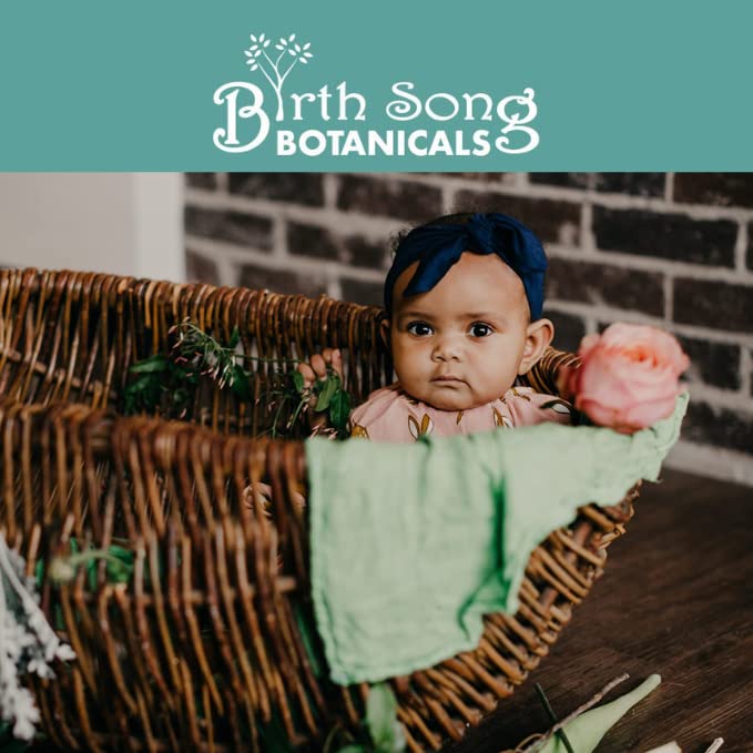 Birth Song Botanicals Fertile Ground tincture shown with glass dropper and herbal notes