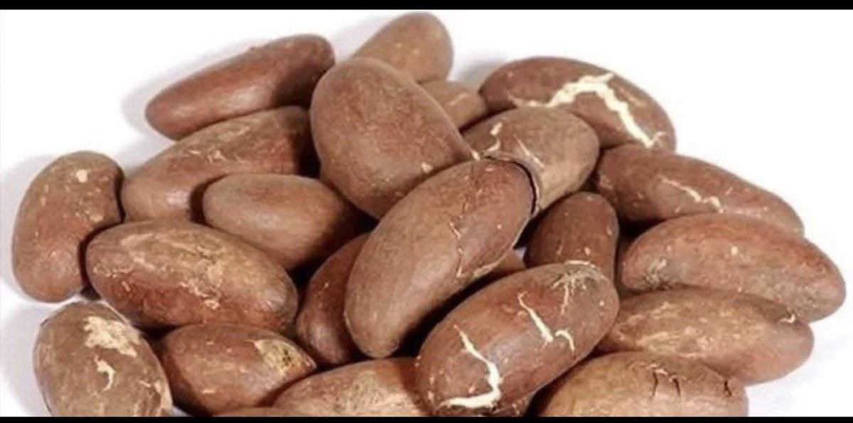 Bitter Kola Nut Garcinia Kola Cola 1lb pack shot highlighting bold aroma for beverages.