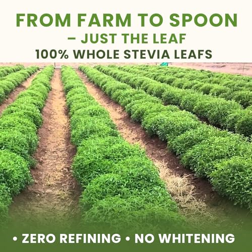 Stevia powder on scoop shows easy measuring for beverages by bixa BOTANICAL