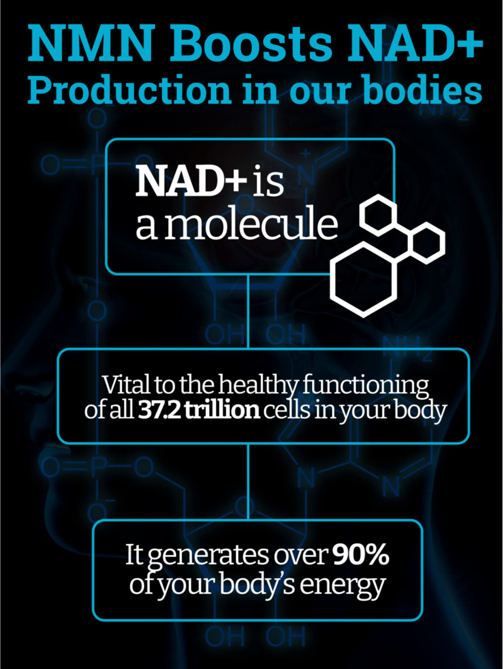 COA certificate for Black Forest NMN confirming third-party testing and safety.