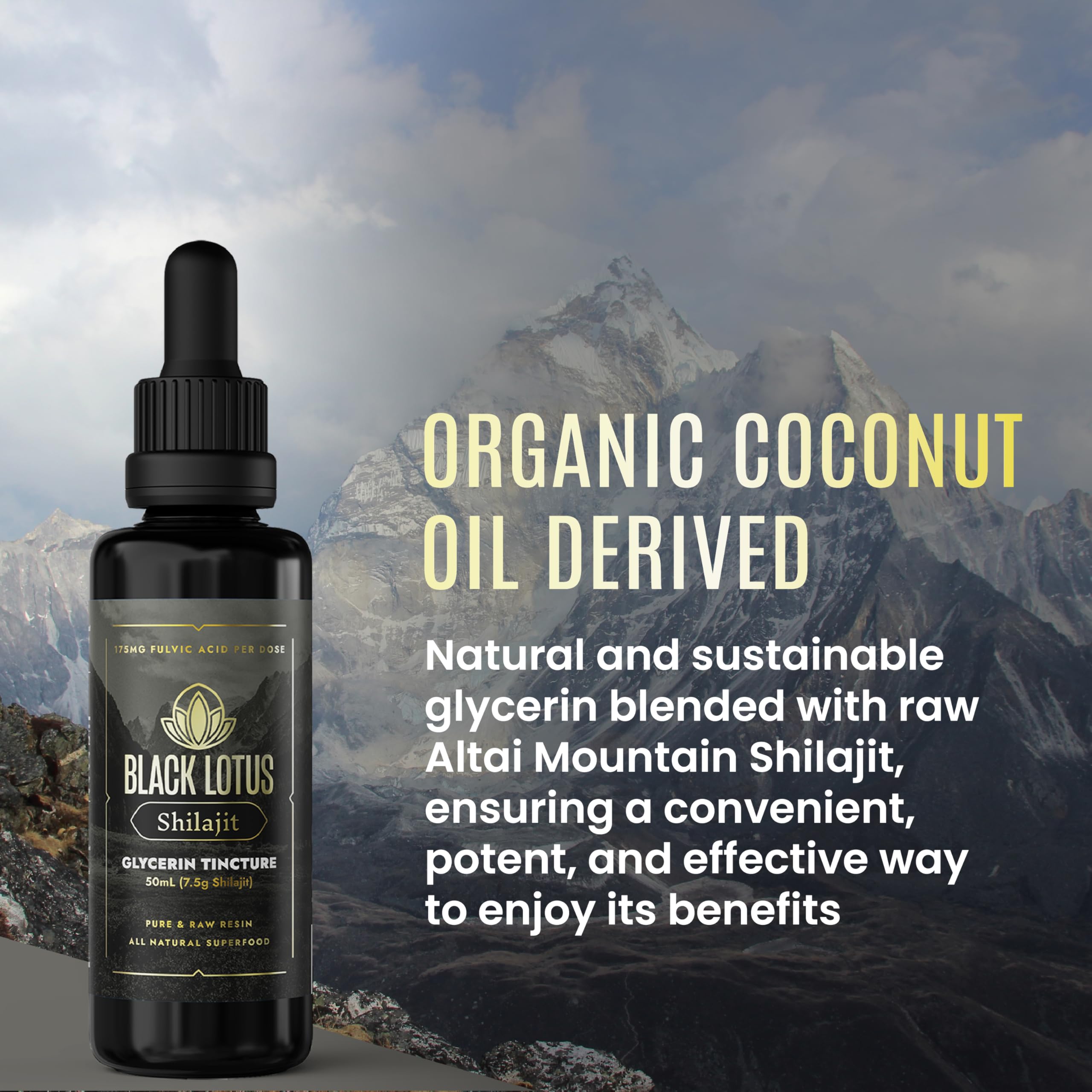 Black Lotus Shilajit resin color suggests natural richness.