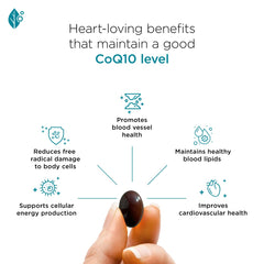 Softgel capsules in oil-based formula to boost bioavailability.