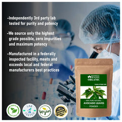 Blessfull Healing avocado leaves powder with scoop for daily use