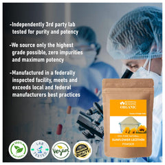 Blessfull Healing sunflower lecithin powder texture close-up fine neutral powder ideal for emulsions