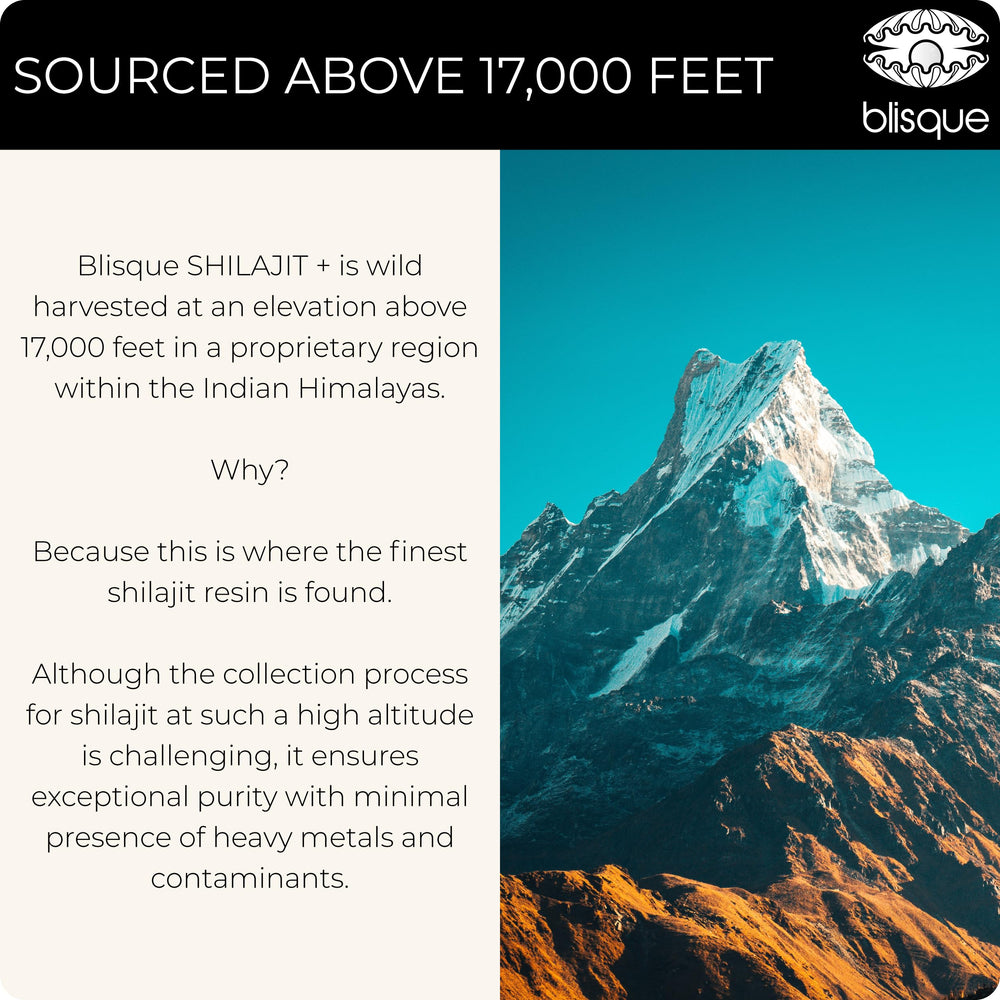 Back view of Blisque Shilajit bottle showing seal and authenticity markers.
